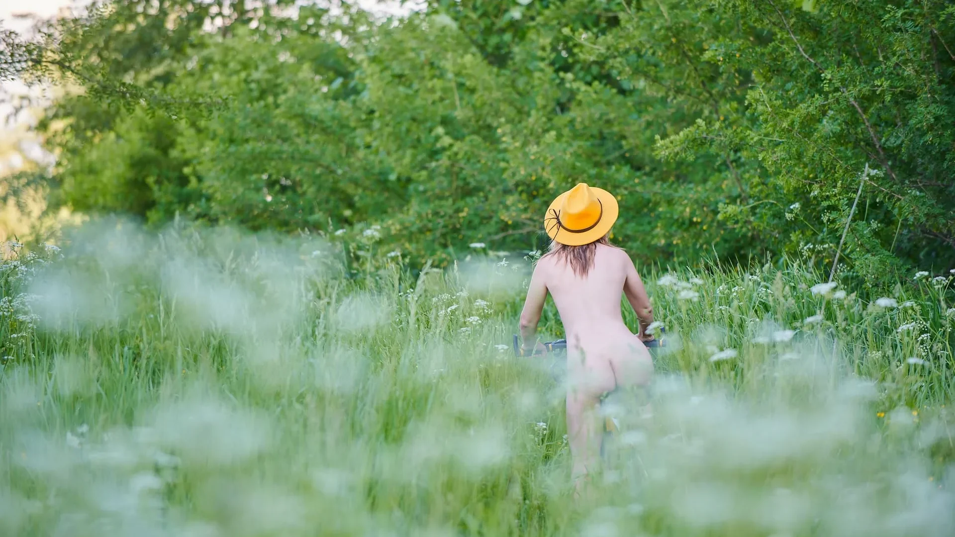 femme nue dans un champ