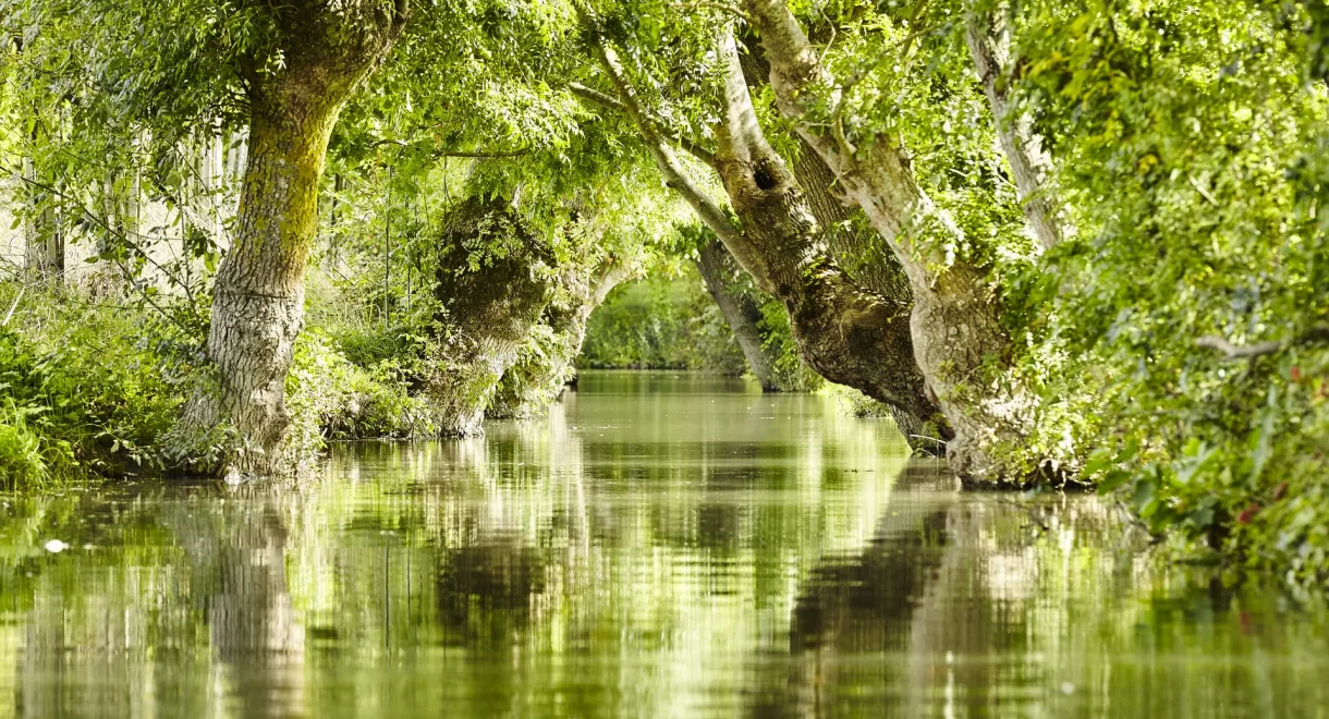 Marais poitevin