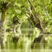 Marais poitevin