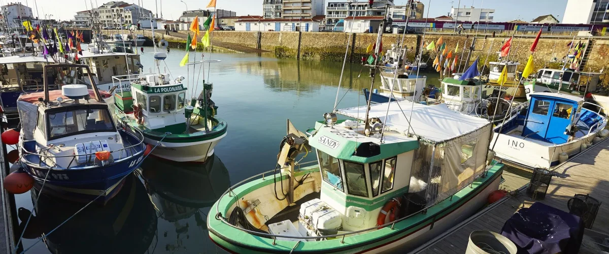 port de pêche à Saint Gilles Croix de Vie