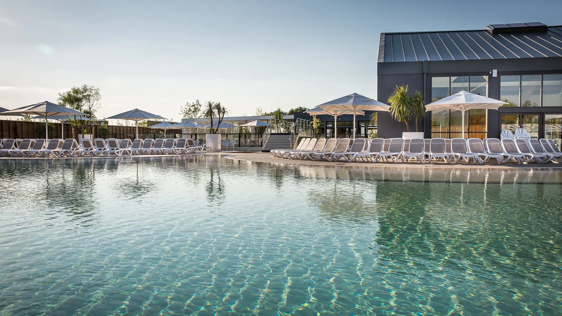 Le-pin-parasol-piscine lagon